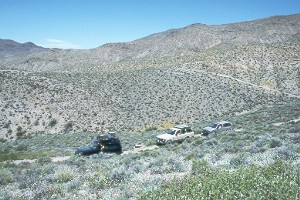 3trucks.jpg (29925 bytes)
