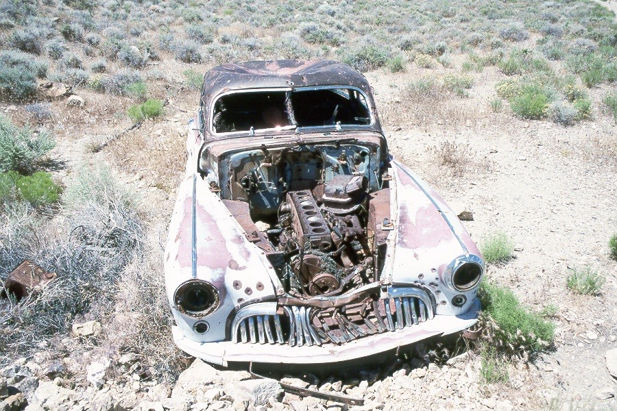 Auto-2.jpg (293907 bytes)