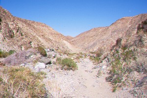 Darwin Canyon.jpg (27228 bytes)