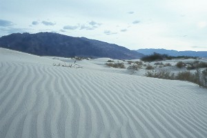 Dunes1.jpg (14719 bytes)