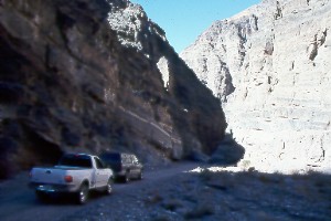 Fords in Canyon.jpg (20194 bytes)