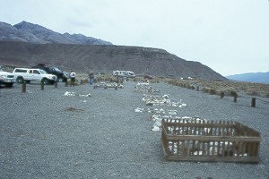 Graveyard.jpg (19310 bytes)