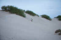 Lots-o-sand.jpg (33662 bytes)