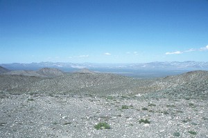 Nevada.jpg (19032 bytes)