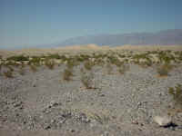 Sdunes.jpg (610575 bytes)