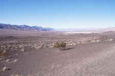 Surrounding Area.jpg (70702 bytes)