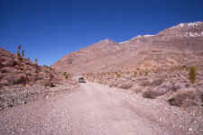 The Road 2.jpg (79293 bytes)