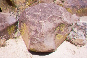 Traced Rock.jpg (25824 bytes)