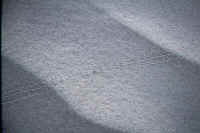 Tracks.jpg (91474 bytes)